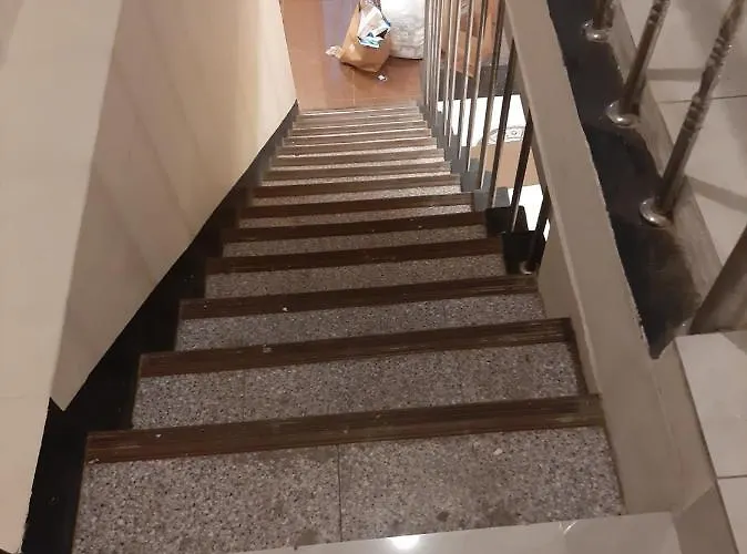 Elo Seul