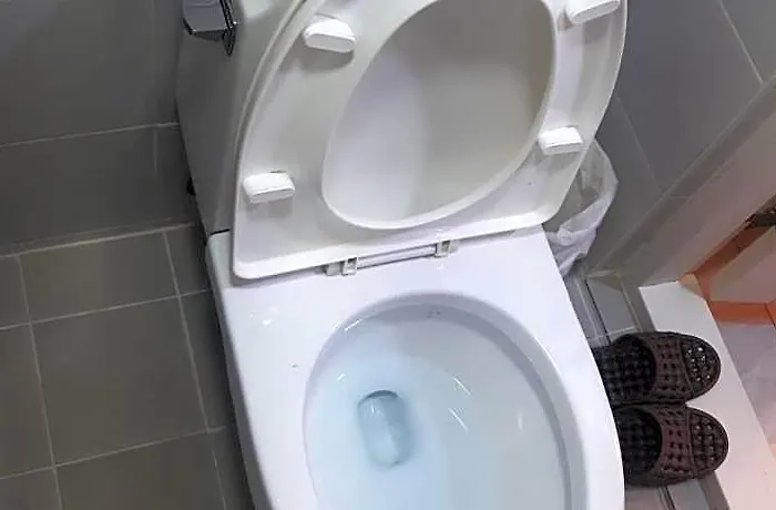 Elo *