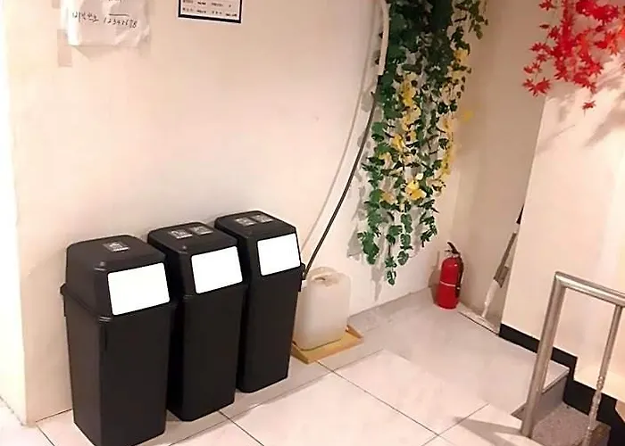 Elo
